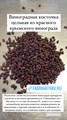 Винограда косточка цельная 1717